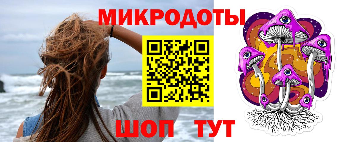 Галлюциногенные грибы Psilocybine cubensis Кинель
