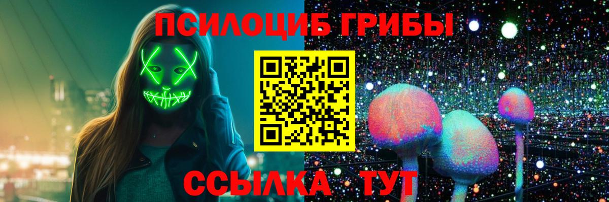 Кинель  Псилоцибиновые грибы Magic Shrooms  Вход с VPN  Галлюциногенные грибы Psilocybine cubensis 