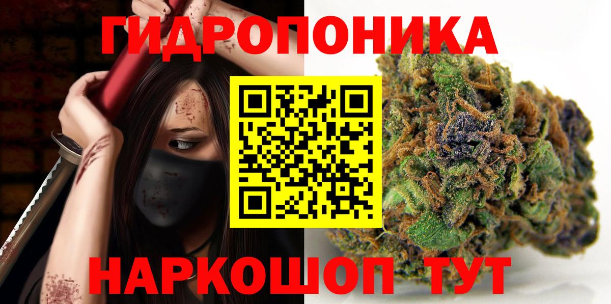 Кинель  Каннабис SATIVA & INDICA  Канабис семена  Вход с VPN  МАРИХУАНА White Widow  Каннабис гибрид 